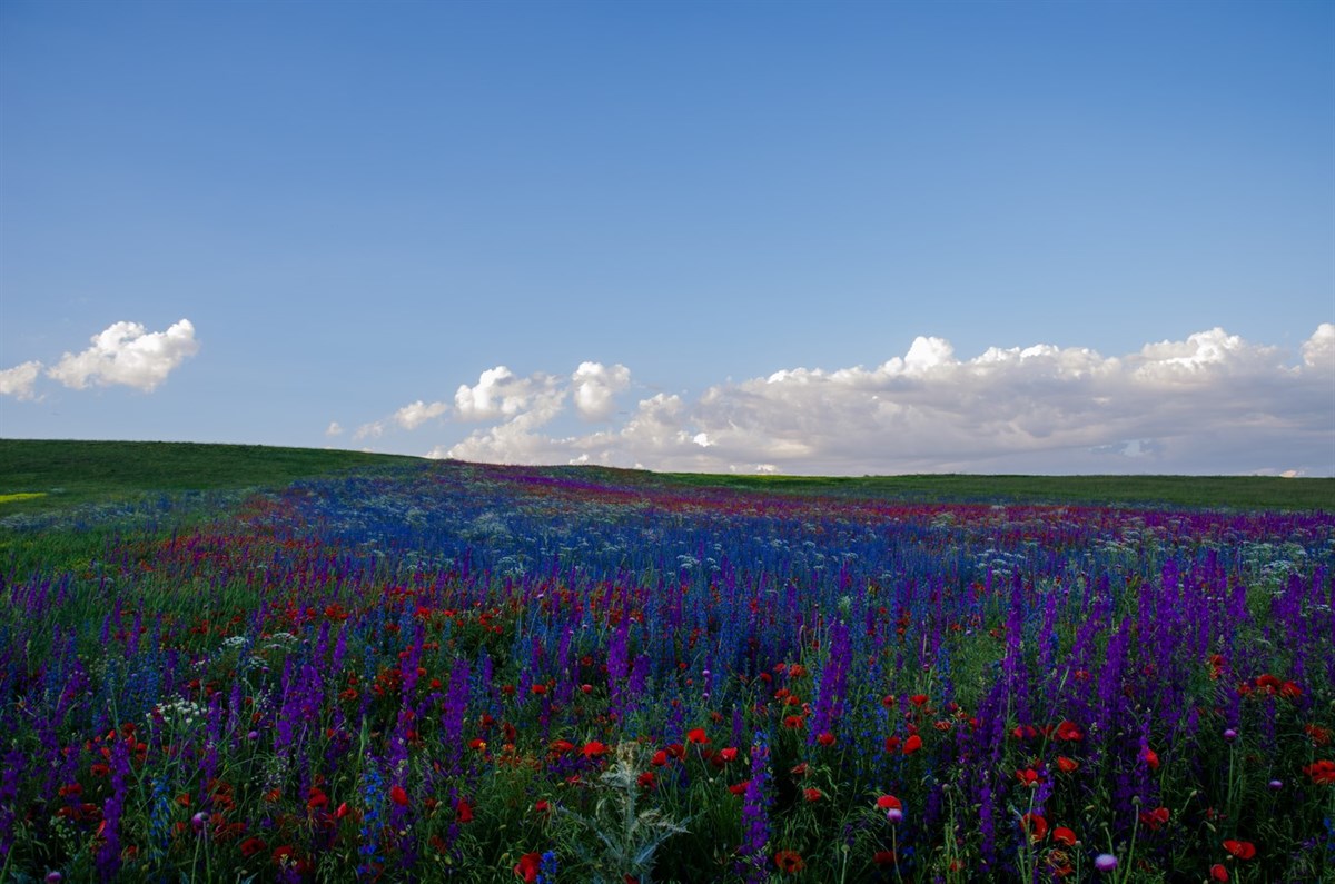 blog-feature-images/1 (19) (Kopyala).jpg